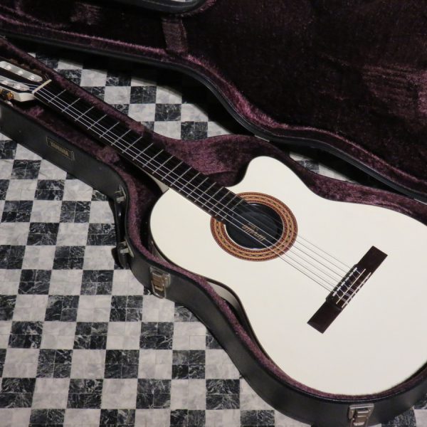 Orville by Gibson Chet Atkins CE